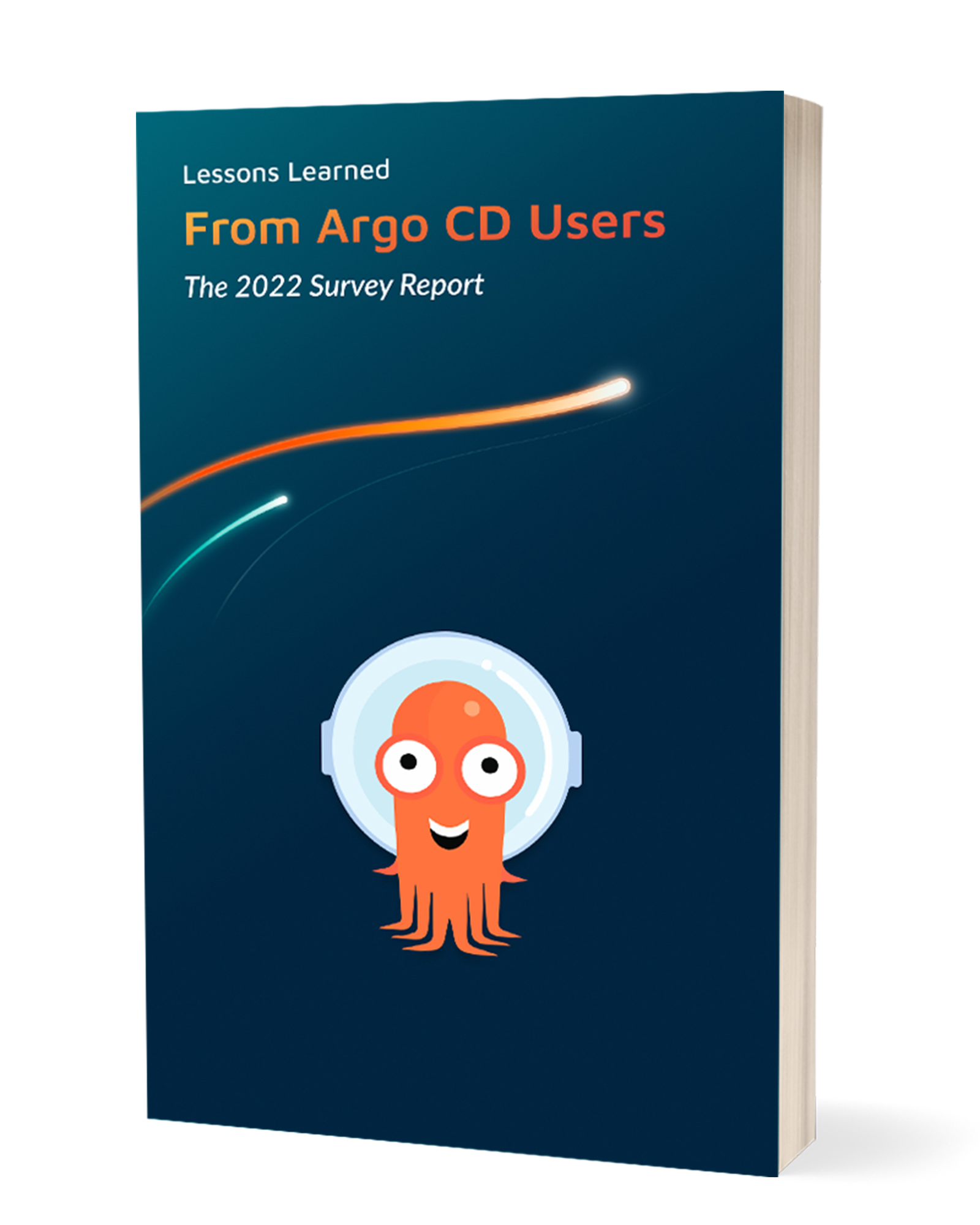 Lessons Learned from Argo CD Users: The 2022 Survey Report